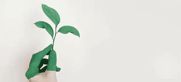 Green Moving Tips: Make an Eco-Friendly Relocation
